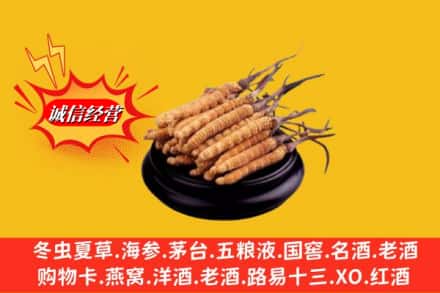 兴城市名酒回收冬虫夏草.jpg